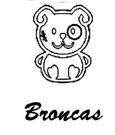 Imagen de BRONCAS