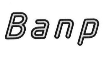Imagen de BANP