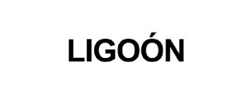 Imagen de LIGOON