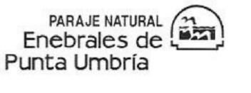 Imagen de PARAJE NATURAL ENEBRALES DE PUNTA UMBRIA