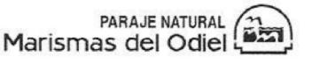 Imagen de PARAJE NATURAL MARISMAS DEL ODIEL