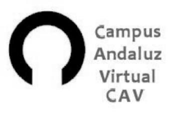 Imagen de CAMPUS ANDALUZ VIRTUAL CAV