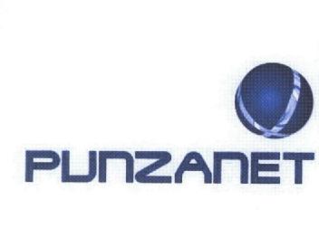 Imagen de PUNZANET