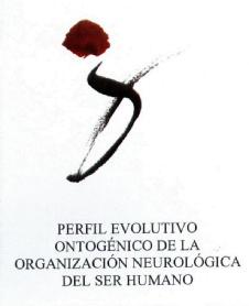 Imagen de PERFIL EVOLUTIVO ONTOGENICO DE LA ORGANIZACION NEUROLOGICA DEL SER HUMANO