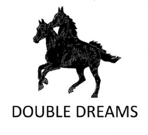 Imagen de DOUBLE DREAMS