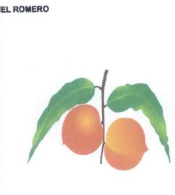 Imagen de EL ROMERO