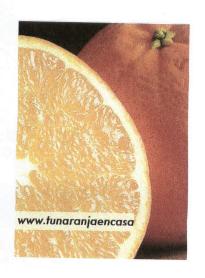 Imagen de WWW.TUNARANJAENCASA
