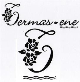 Imagen de TERMAS ENE