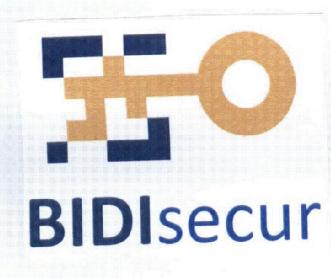 Imagen de BIDISECUR