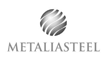 Imagen de METALIASTEEL