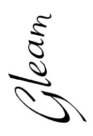 Imagen de GLEAM