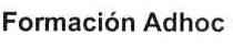 Imagen de FORMACION ADHOC