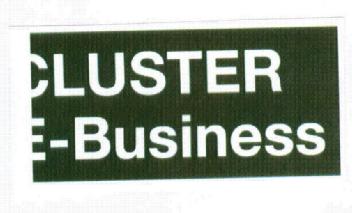 Imagen de CLUSTER E-BUSINESS
