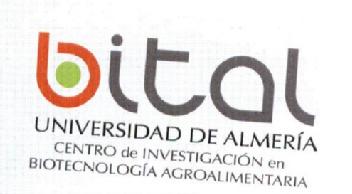 Imagen de BITAL UNIVERSIDAD DE ALMERIA CENTRO DE INVESTIGACION EN BIOTECNOLOGIA AGROALIMENTARIA