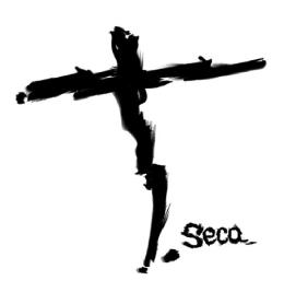 Imagen de T. SECA