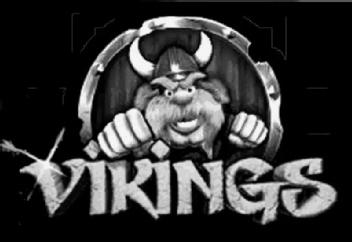 Imagen de VIKINGS