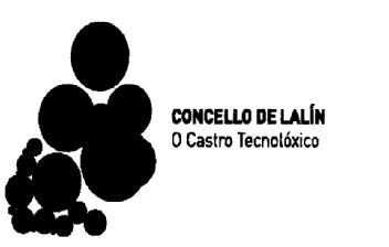 Imagen de CONCELLO DE LALIN O CASTRO TECNOLOXICO
