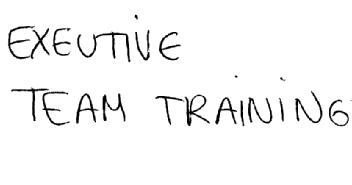 Imagen de EXEUTIVE TEAM TRAINING