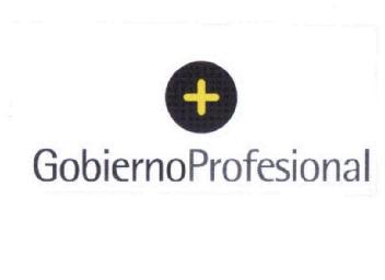 Imagen de GOBIERNO PROFESIONAL
