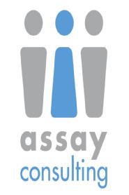 Imagen de ASSAY CONSULTING