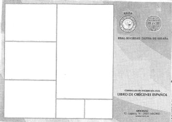 Imagen de LIBRO DE ORIGENES ESPAÑOL REAL SOCIEDAD CANINA DE ESPAÑA