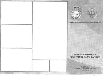 Imagen de REGISTRO DE RAZAS CANINAS REAL SOCIEDAD CANINA DE ESPAÑA
