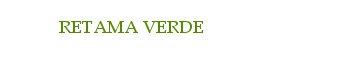 Imagen de RETAMA VERDE