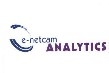Imagen de E-NETCAM ANALYTICS