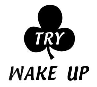 Imagen de TRY WAKE UP
