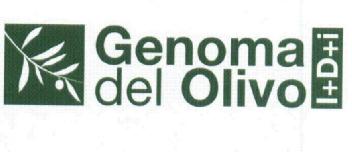 Imagen de GENOMA DEL OLIVO I+D+I