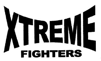 Imagen de XTREME FIGHTERS