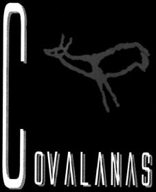 Imagen de COVALANAS