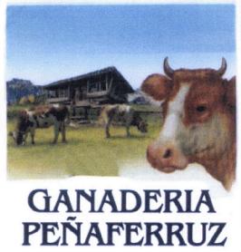 Imagen de GANADERIA PEÑAFERRUZ