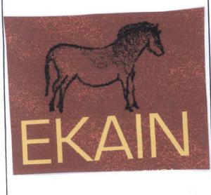 Imagen de EKAIN