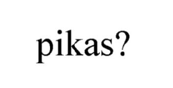 Imagen de PIKAS?