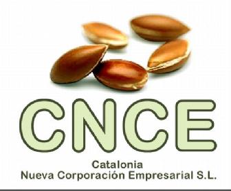 Imagen de CNCE CATALONIA NUEVA CORPORACION EMPRESARIAL, S.L