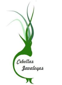 Imagen de CEBOLLAS JAVALOYES