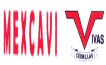 Imagen de MEXCAVI VIVAS CEDRILLAS