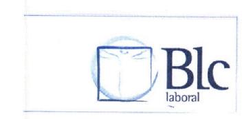 Imagen de BLC LABORAL