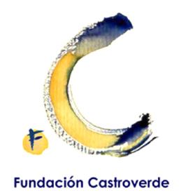 Imagen de F C FUNDACION CASTROVERDE