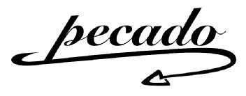 Imagen de PECADO