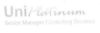 Imagen de UNI PLATINIUM SENIOR MANAGER CONSULTING SERVICES