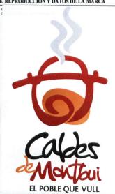 Imagen de CALDES DE MONTBUI EL POBLE QUE VULL