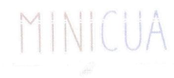 Imagen de MINICUA