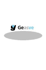 Imagen de GEASVE