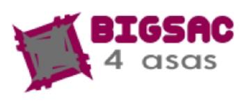 Imagen de BIGSAC 4 ASAS