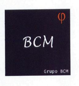 Imagen de BCM GRUPO BCM