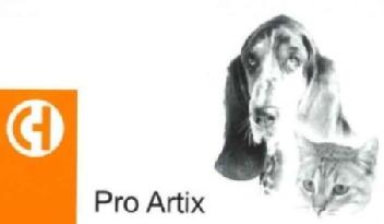 Imagen de PRO ARTIX