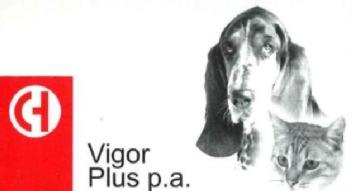 Imagen de VIGOR PLUS P.A