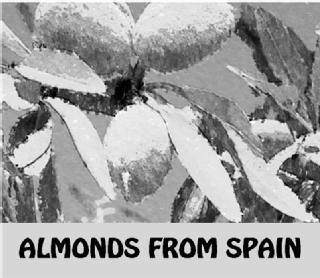 Imagen de ALMONDS FROM SPAIN